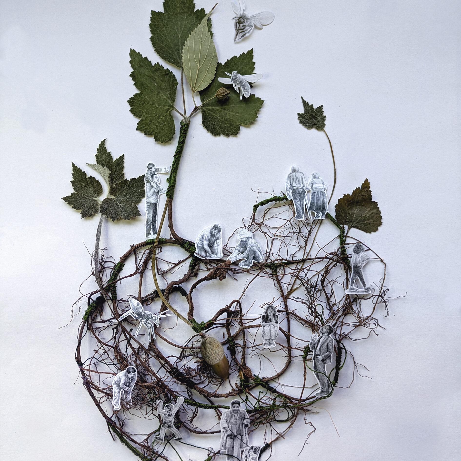 lo rodriguez minusculos 1